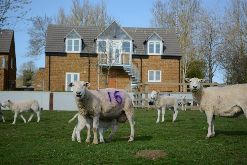 הוילה Braunston  Field View מראה חיצוני תמונה